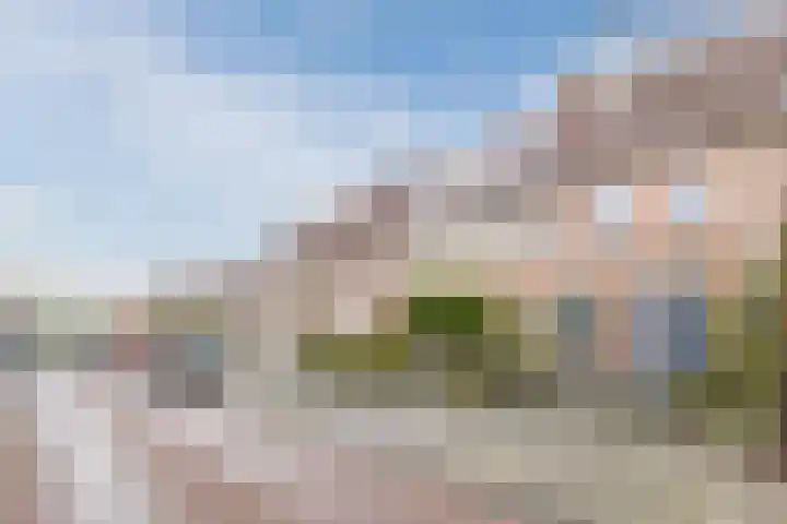 Nicolaas Beetsstraat 19 Bergen op Zoom thumbnail 29