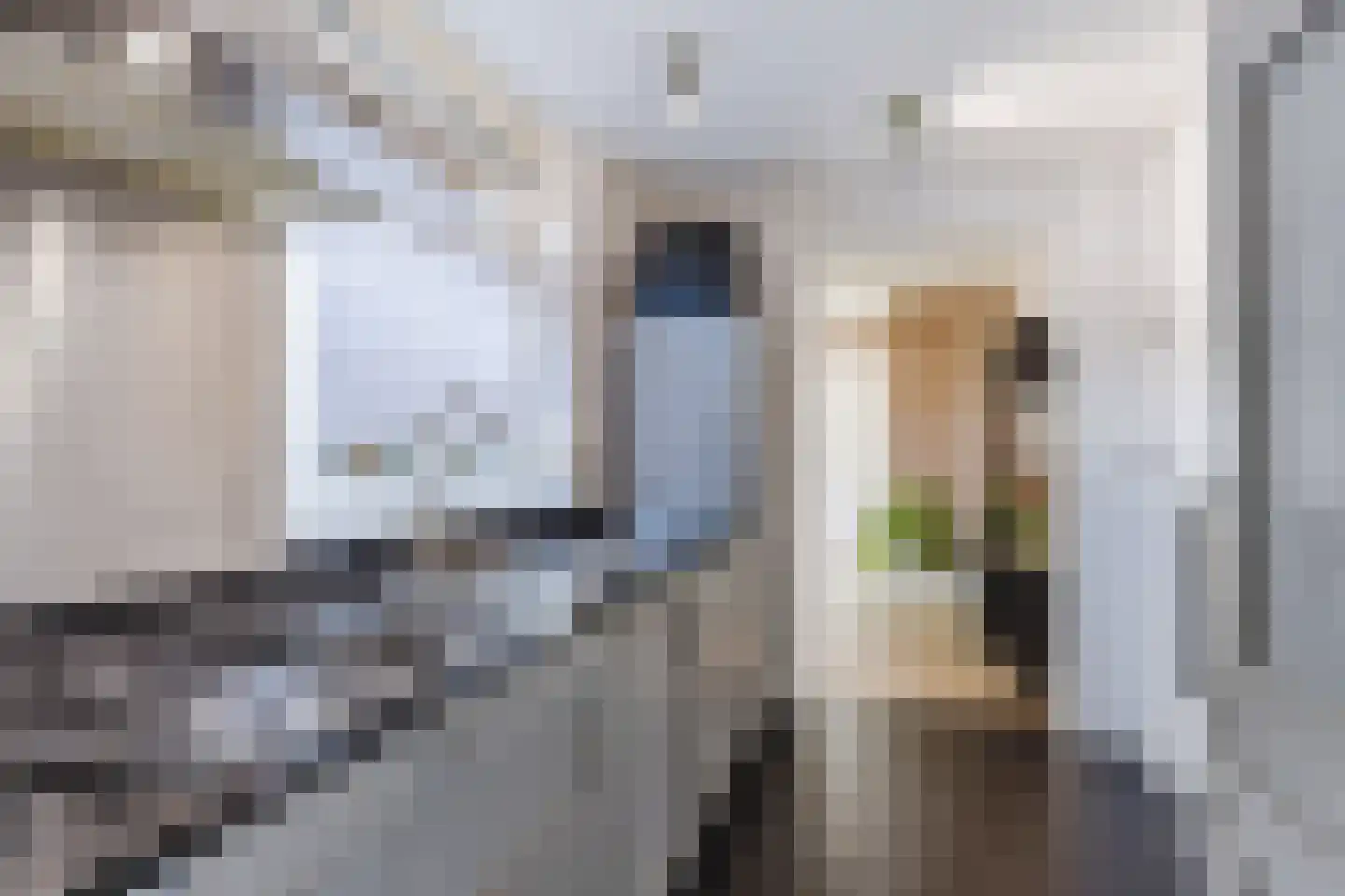 Nicolaas Beetsstraat 19 Tilburg thumbnail 10