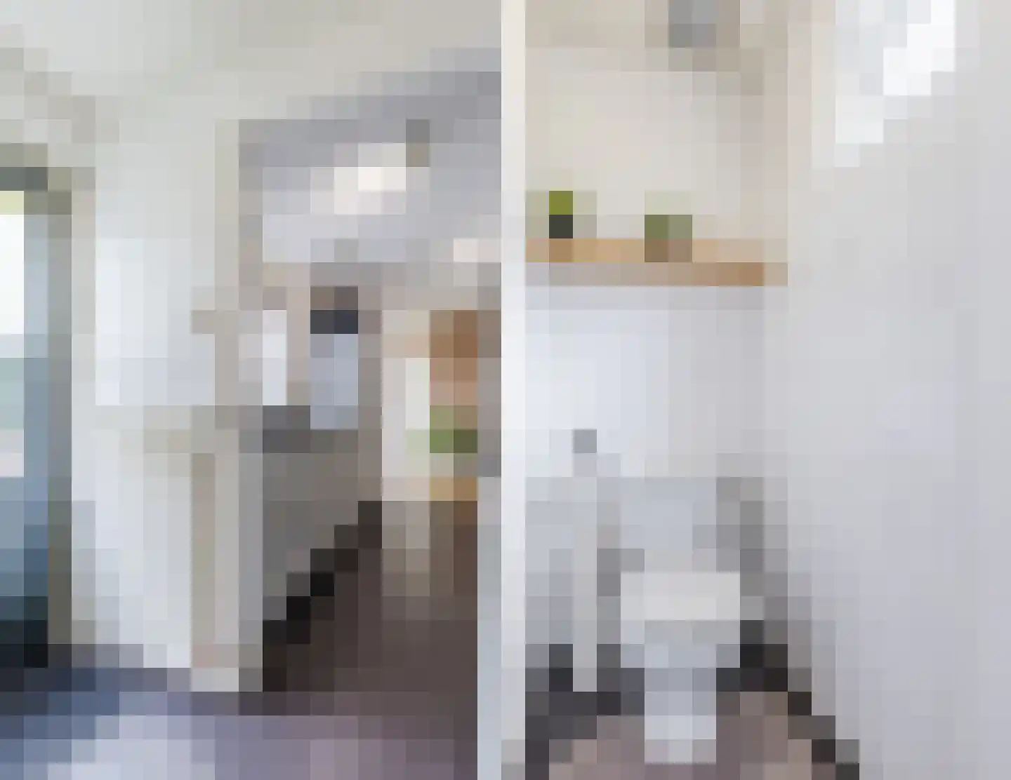 Nicolaas Beetsstraat 19 Tilburg thumbnail 7