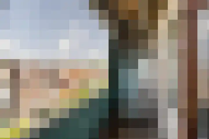 Nicolaas Beetsstraat 19 Vlaardingen thumbnail 11