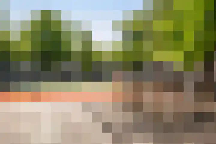 Nicolaas Beetsstraat 19 Vlaardingen thumbnail 22