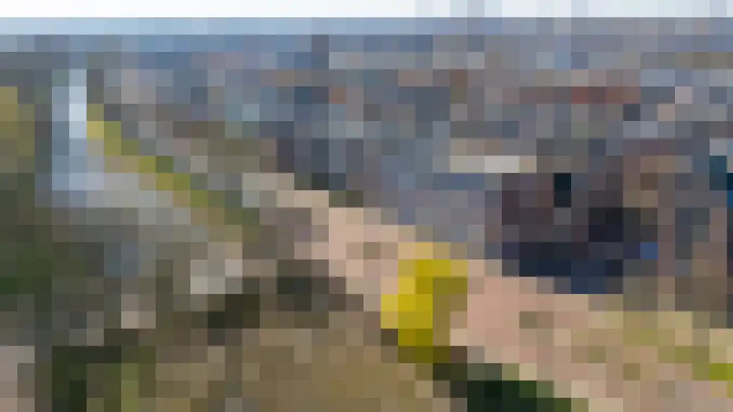 Nicolaas Beetsstraat 2 13 Utrecht thumbnail 6
