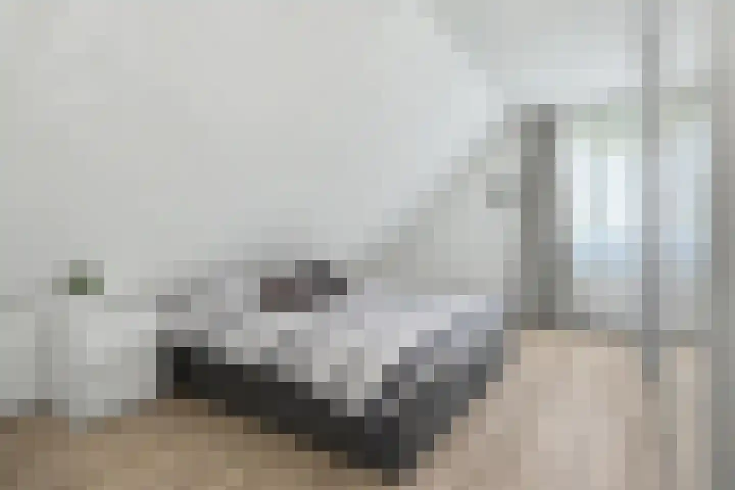 Nicolaas Beetsstraat 2 Sommelsdijk thumbnail 15