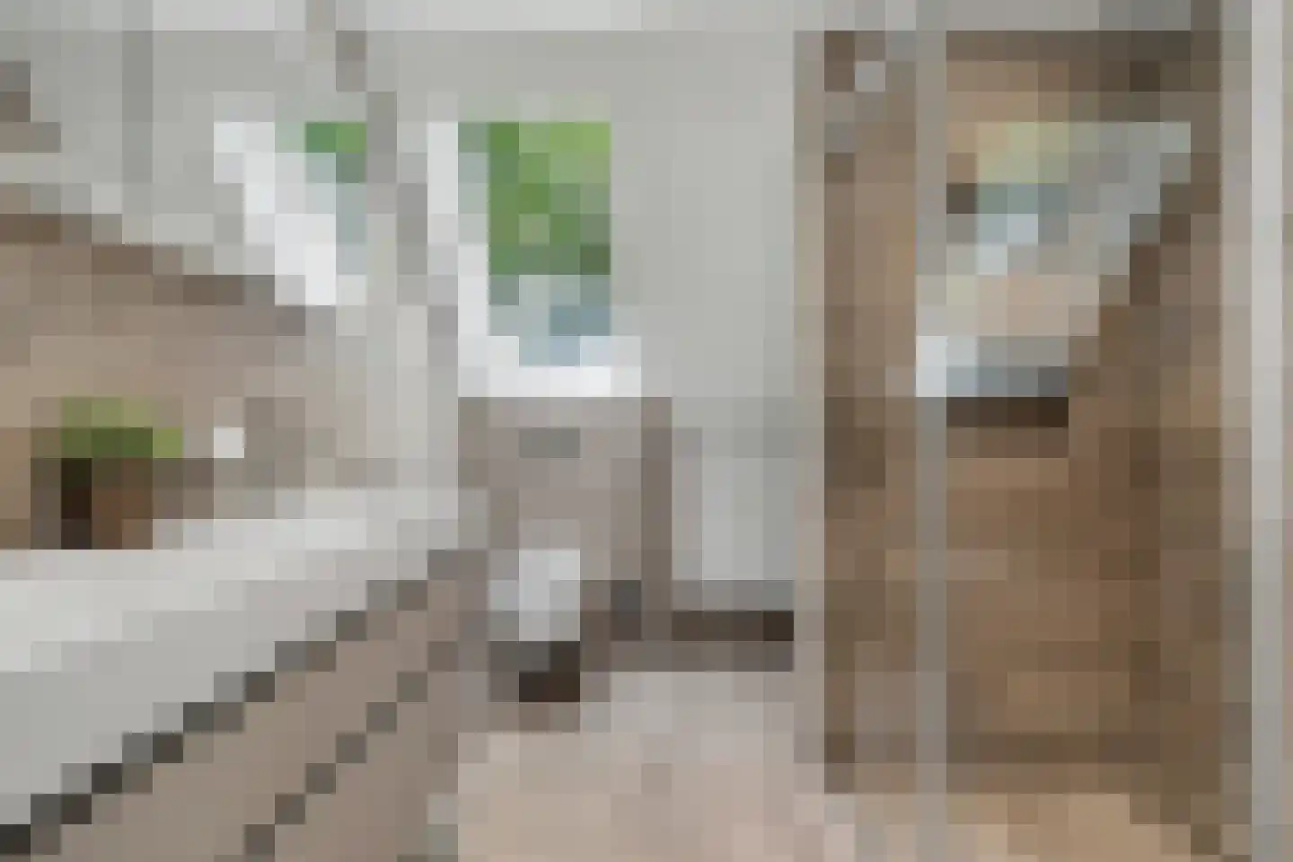 Nicolaas Beetsstraat 2 Sommelsdijk thumbnail 16