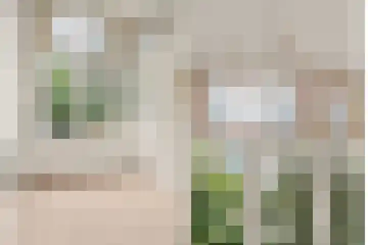 Nicolaas Beetsstraat 2 T Utrecht thumbnail 14
