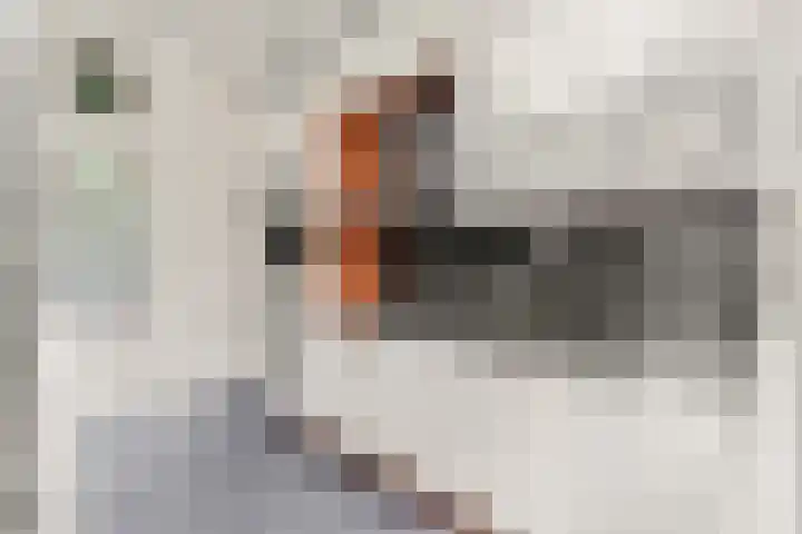 Nicolaas Beetsstraat 2 T Utrecht thumbnail 15