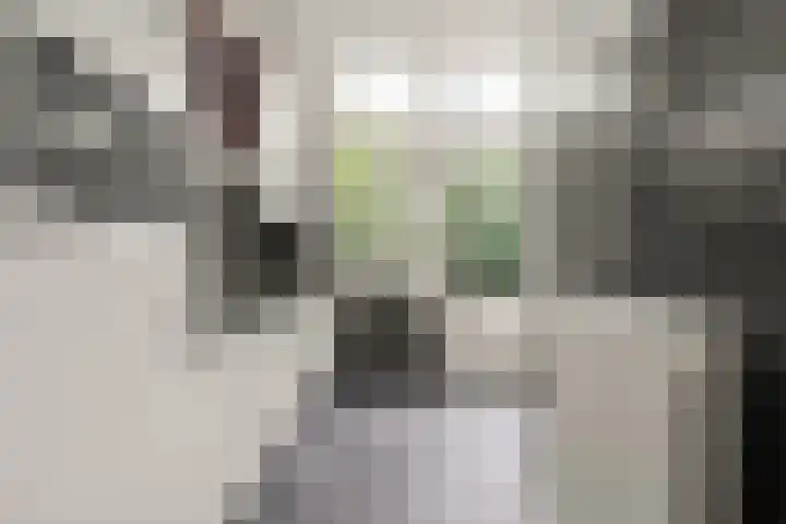 Nicolaas Beetsstraat 2 T Utrecht thumbnail 16