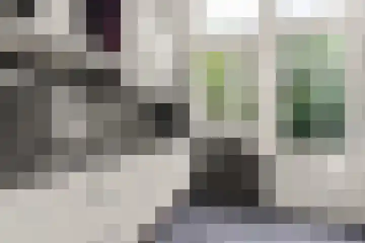 Nicolaas Beetsstraat 2 T Utrecht thumbnail 17