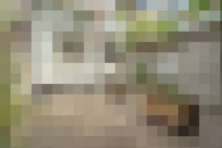 Nicolaas Beetsstraat 2 T Utrecht thumbnail 18