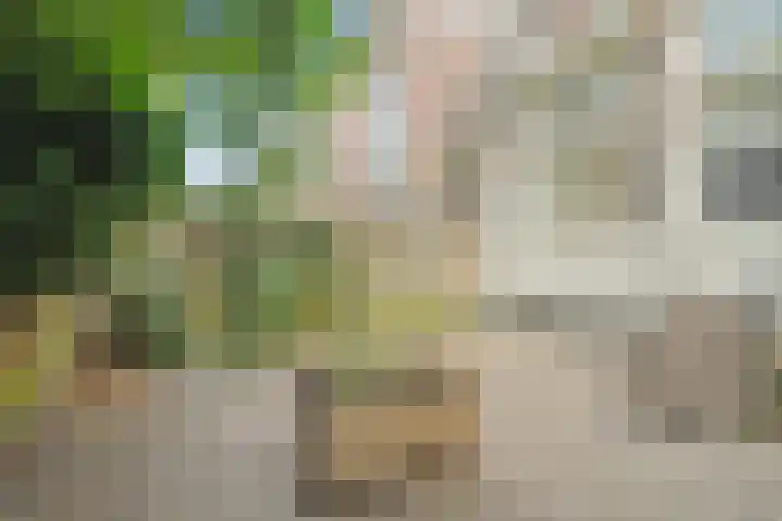 Nicolaas Beetsstraat 2 T Utrecht thumbnail 19
