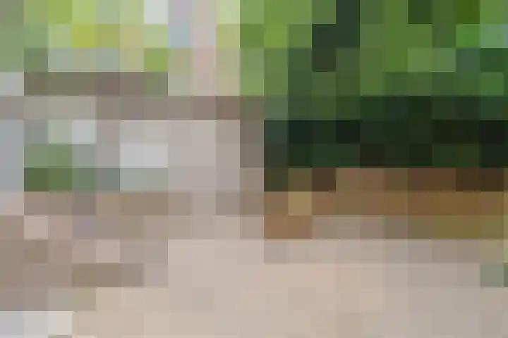 Nicolaas Beetsstraat 2 T Utrecht thumbnail 20