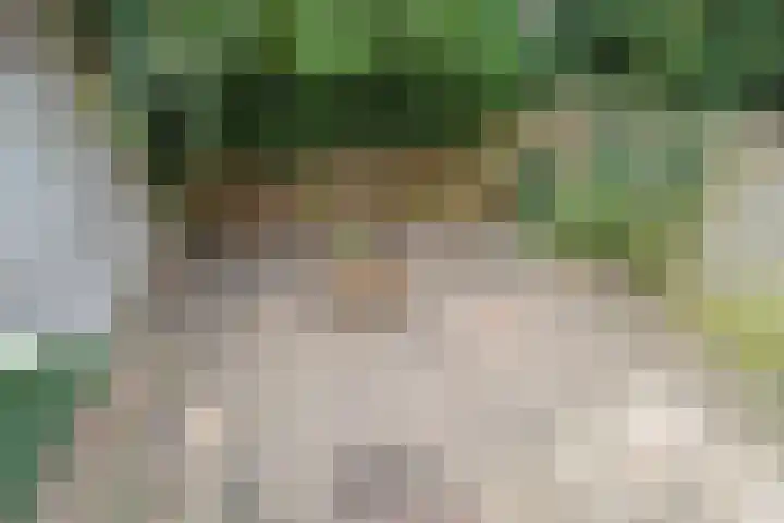 Nicolaas Beetsstraat 2 T Utrecht thumbnail 21