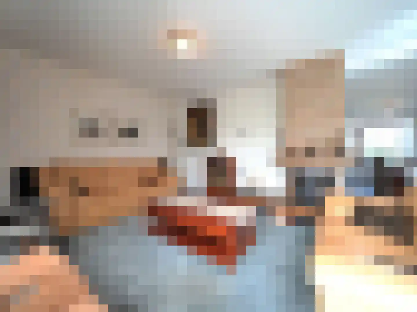 Nicolaas Beetsstraat 21 Papendrecht thumbnail 14