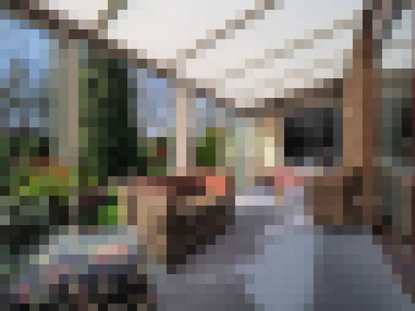 Nicolaas Beetsstraat 21 Papendrecht thumbnail 17