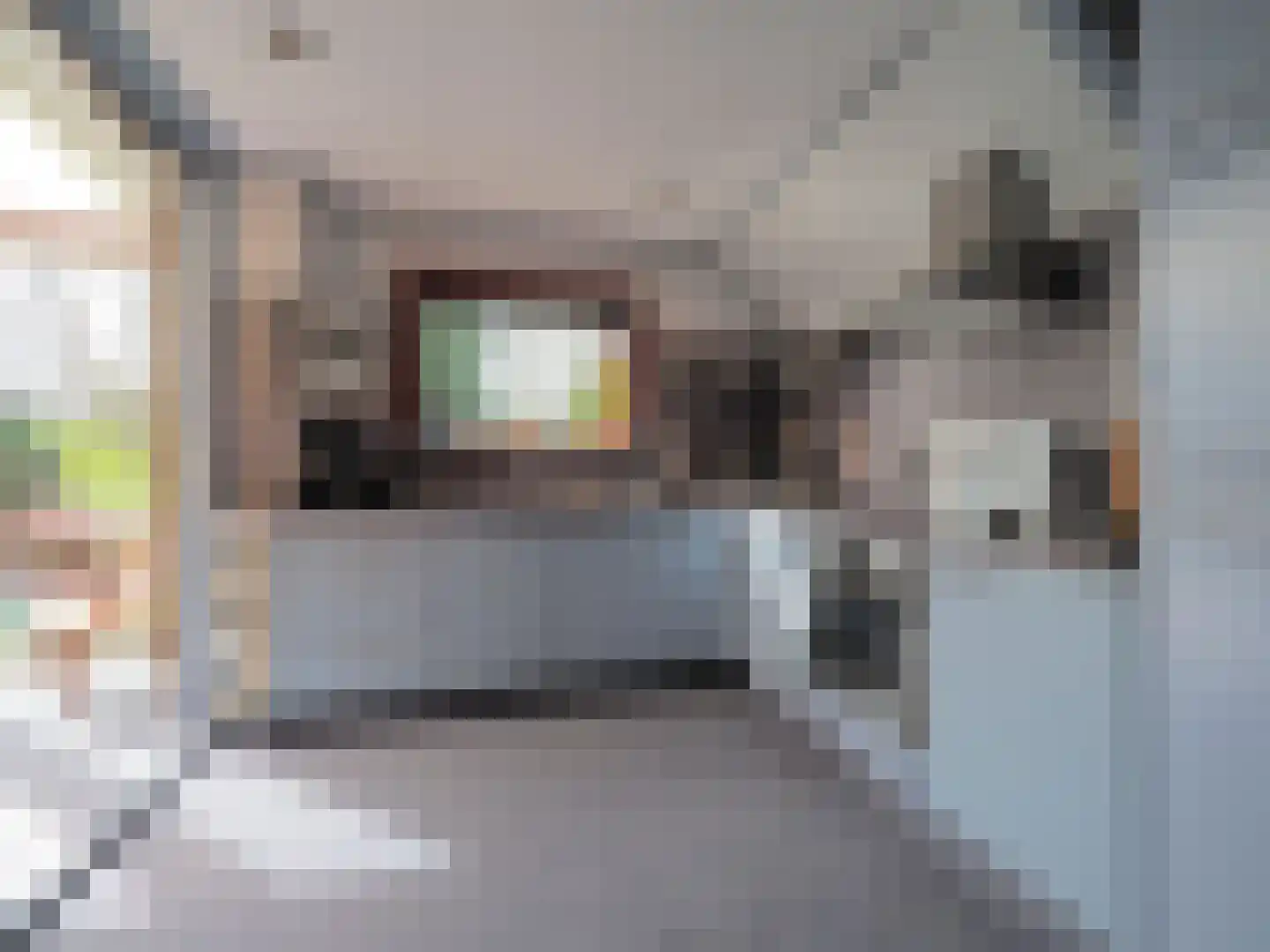 Nicolaas Beetsstraat 21 Papendrecht thumbnail 19