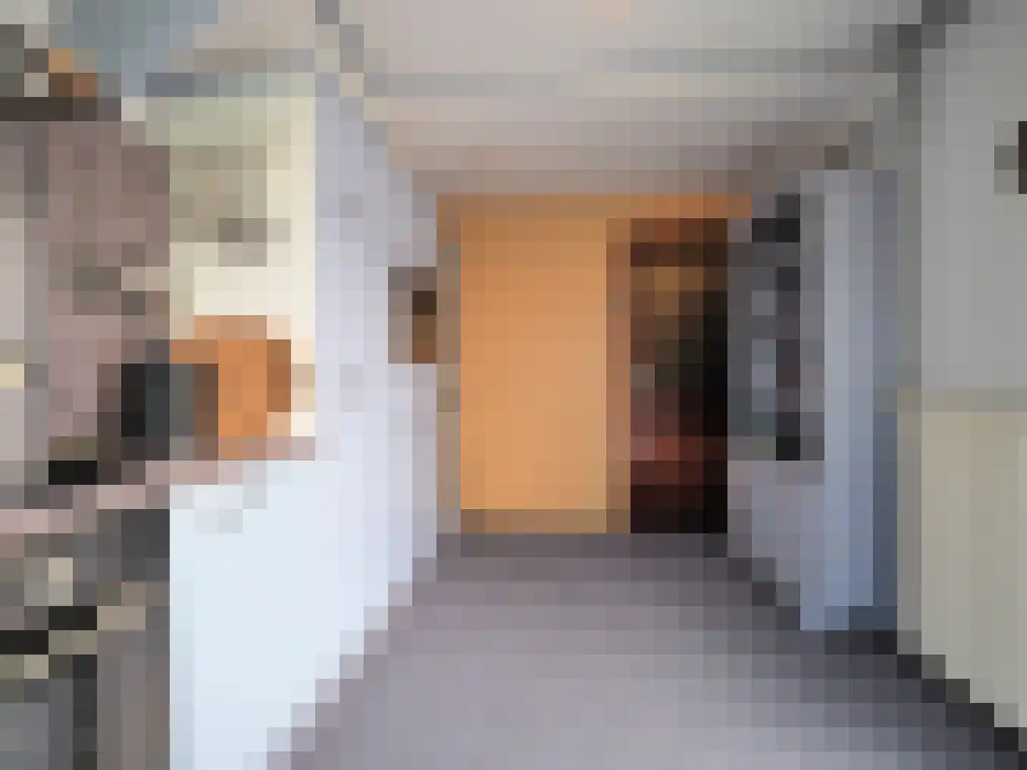 Nicolaas Beetsstraat 21 Papendrecht thumbnail 20