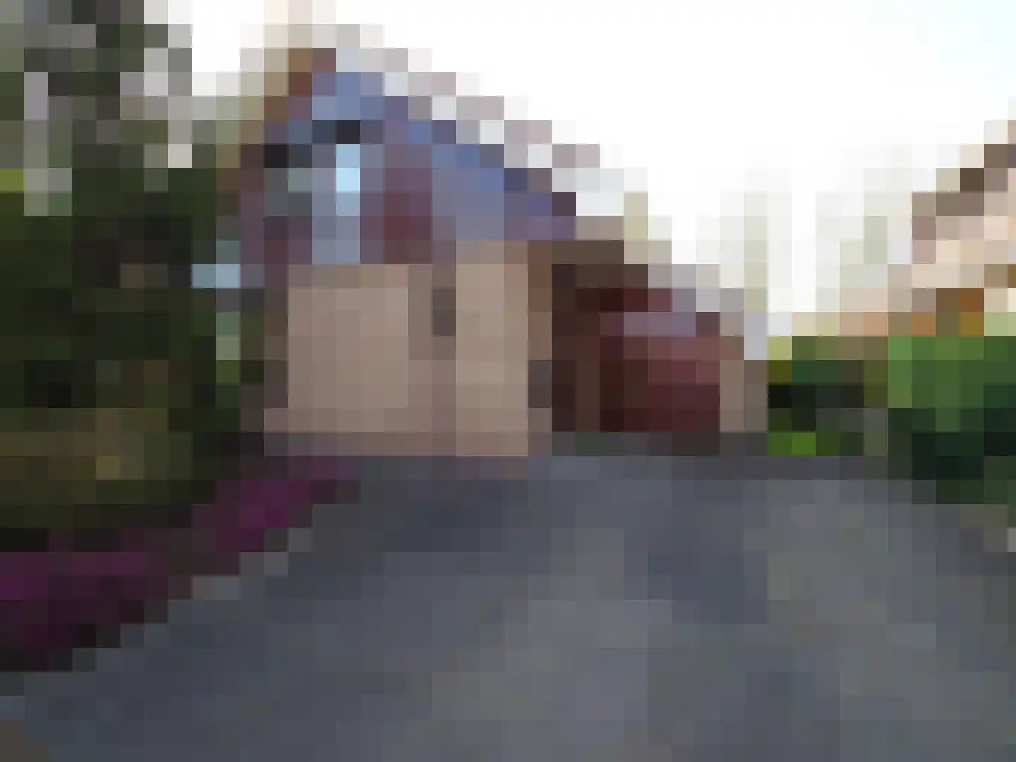 Nicolaas Beetsstraat 21 Papendrecht thumbnail 6
