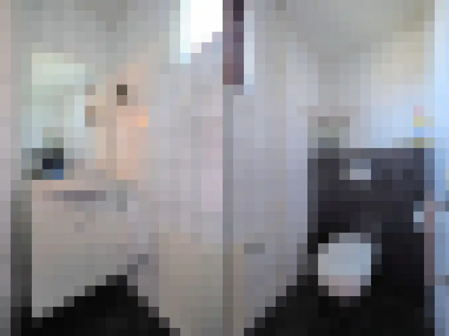 Nicolaas Beetsstraat 21 Papendrecht thumbnail 9