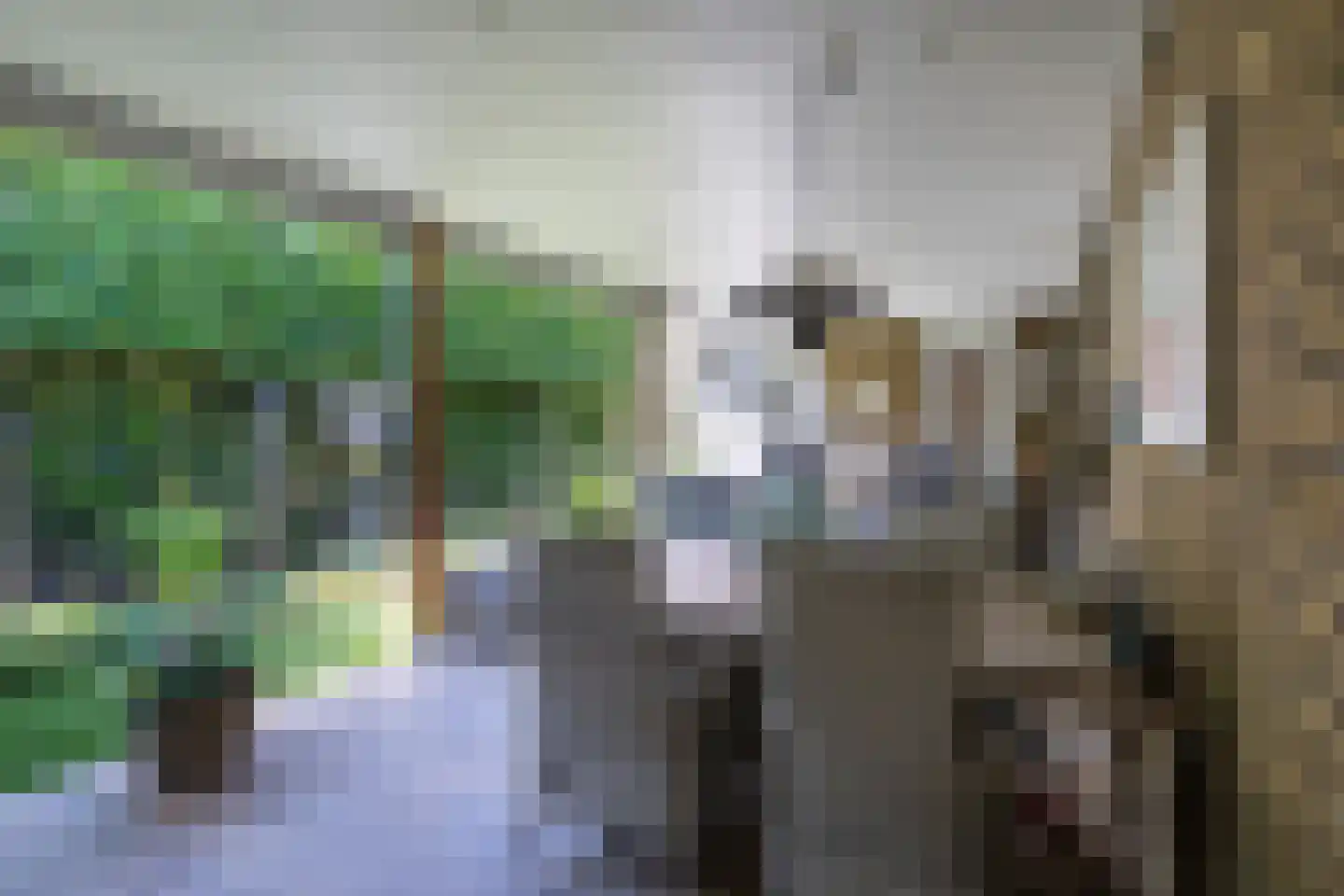 Nicolaas Beetsstraat 26 Heerlen thumbnail 19