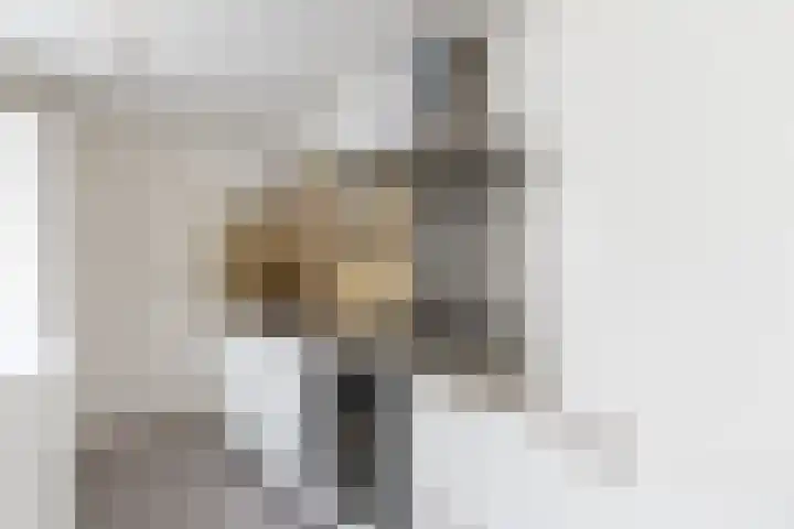 Nicolaas Beetsstraat 27 Tilburg thumbnail 15