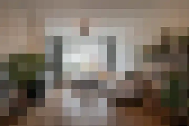 Nicolaas Beetsstraat 29 Groningen thumbnail 14