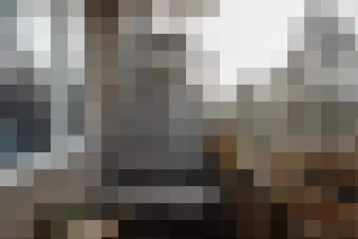 Nicolaas Beetsstraat 29 Groningen thumbnail 21