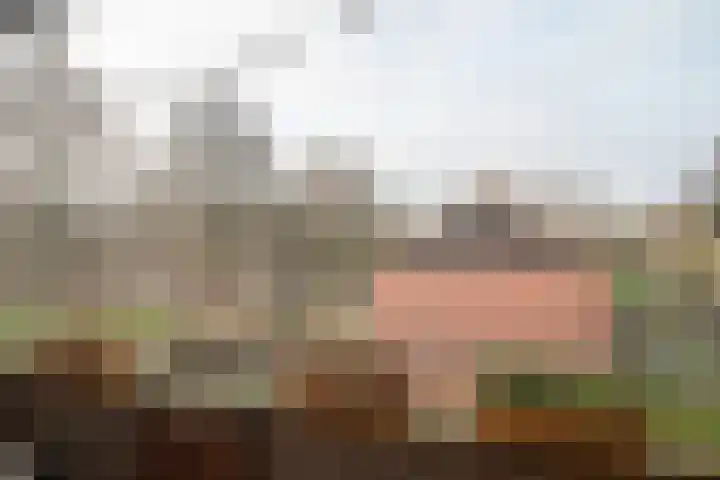 Nicolaas Beetsstraat 29 Groningen thumbnail 22
