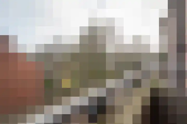 Nicolaas Beetsstraat 29 Groningen thumbnail 27