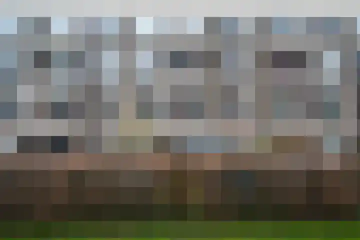 Nicolaas Beetsstraat 29 Groningen thumbnail 33