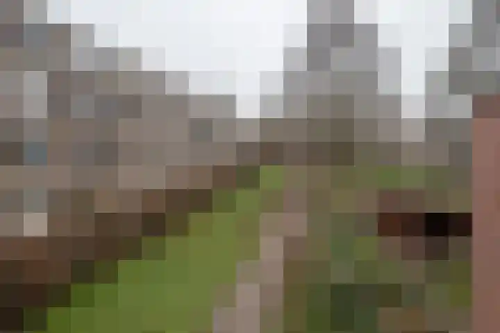 Nicolaas Beetsstraat 29 Groningen thumbnail 34