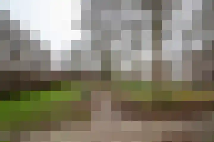 Nicolaas Beetsstraat 29 Groningen thumbnail 35