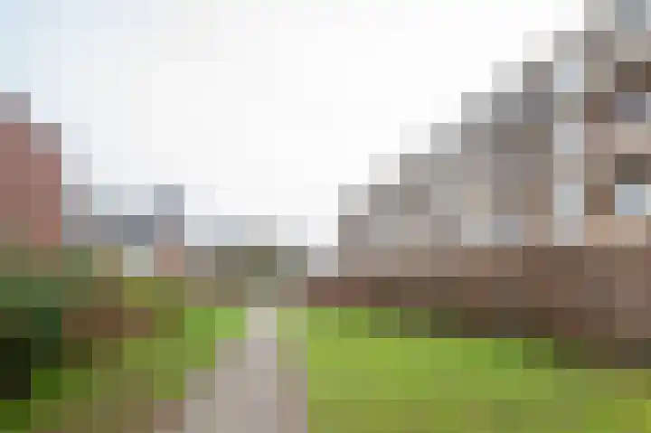 Nicolaas Beetsstraat 29 Groningen thumbnail 37
