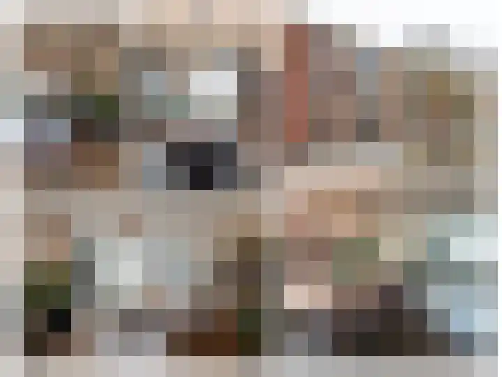 Nicolaas Beetsstraat 29 Groningen thumbnail 38