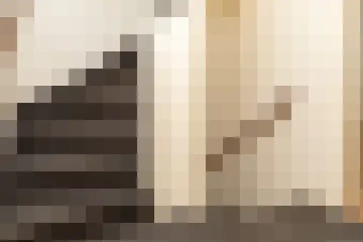 Nicolaas Beetsstraat 3 Kesteren thumbnail 22