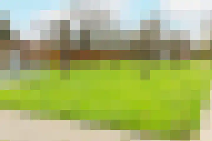 Nicolaas Beetsstraat 3 Kesteren thumbnail 31