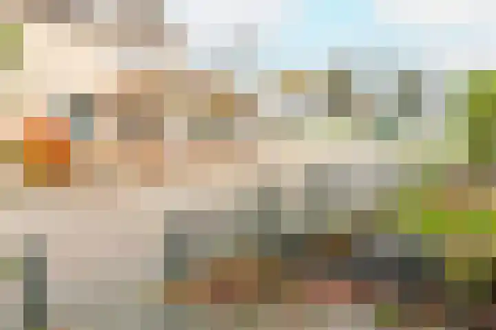 Nicolaas Beetsstraat 3 Kesteren thumbnail 35