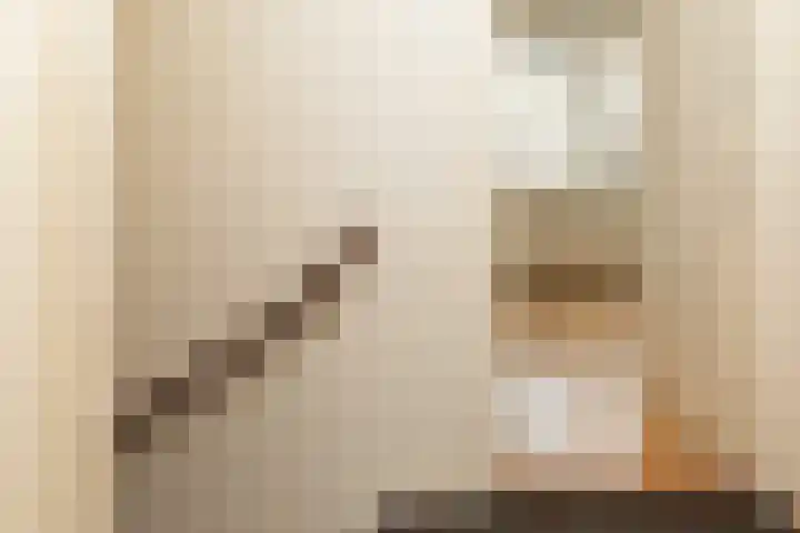 Nicolaas Beetsstraat 3 Kesteren thumbnail 44