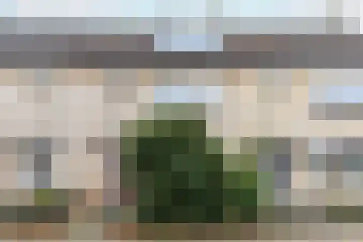 Nicolaas Beetsstraat 3 Kesteren thumbnail 5