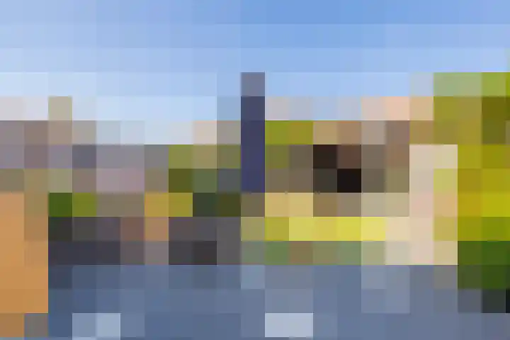 Nicolaas Beetsstraat 32 Sliedrecht thumbnail 18