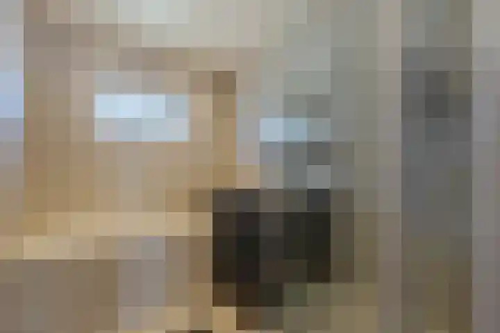 Nicolaas Beetsstraat 32 Sliedrecht thumbnail 9