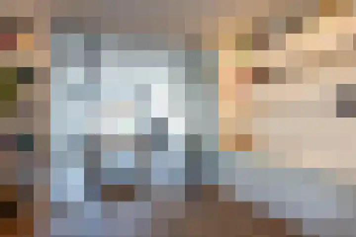 Nicolaas Beetsstraat 35 Eindhoven thumbnail 13