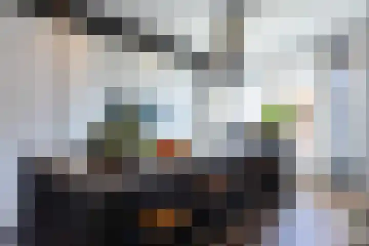 Nicolaas Beetsstraat 35 Eindhoven thumbnail 18