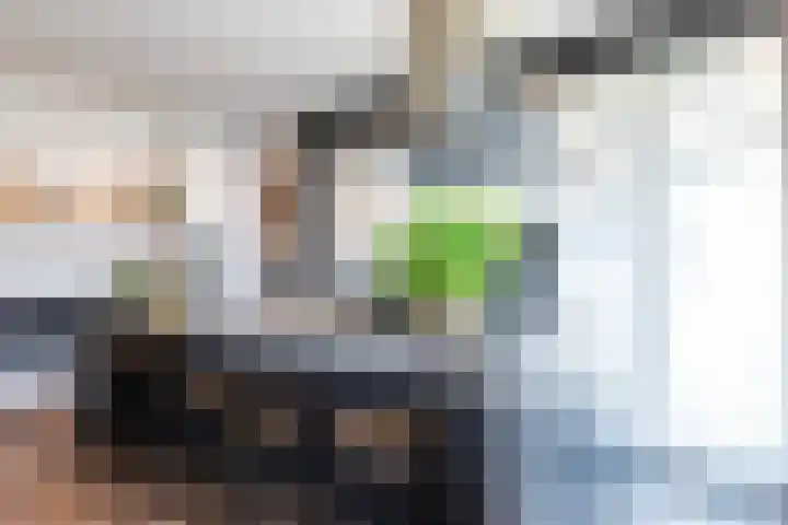 Nicolaas Beetsstraat 35 Eindhoven thumbnail 19