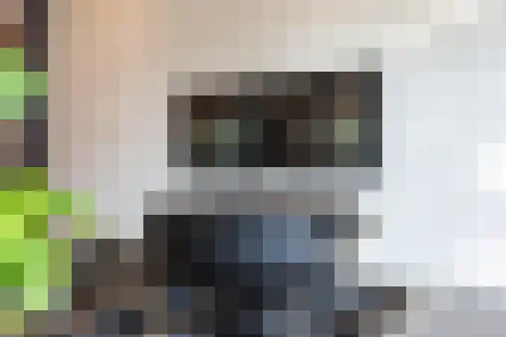 Nicolaas Beetsstraat 35 Eindhoven thumbnail 22