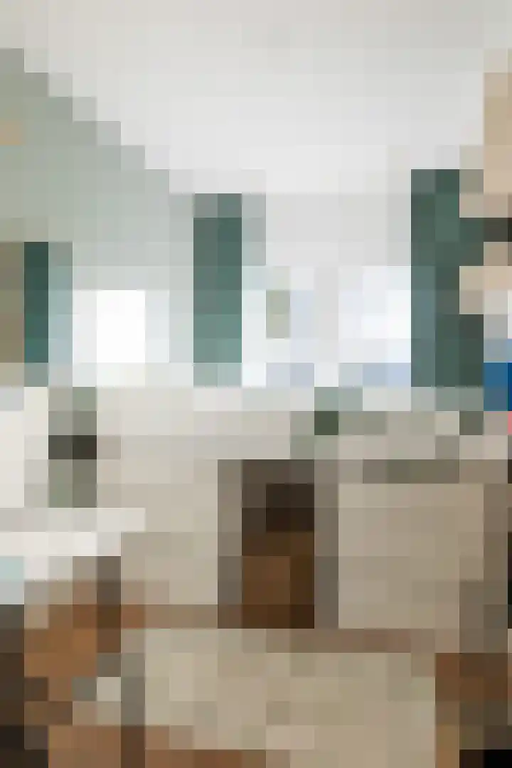 Nicolaas Beetsstraat 35 Eindhoven thumbnail 26