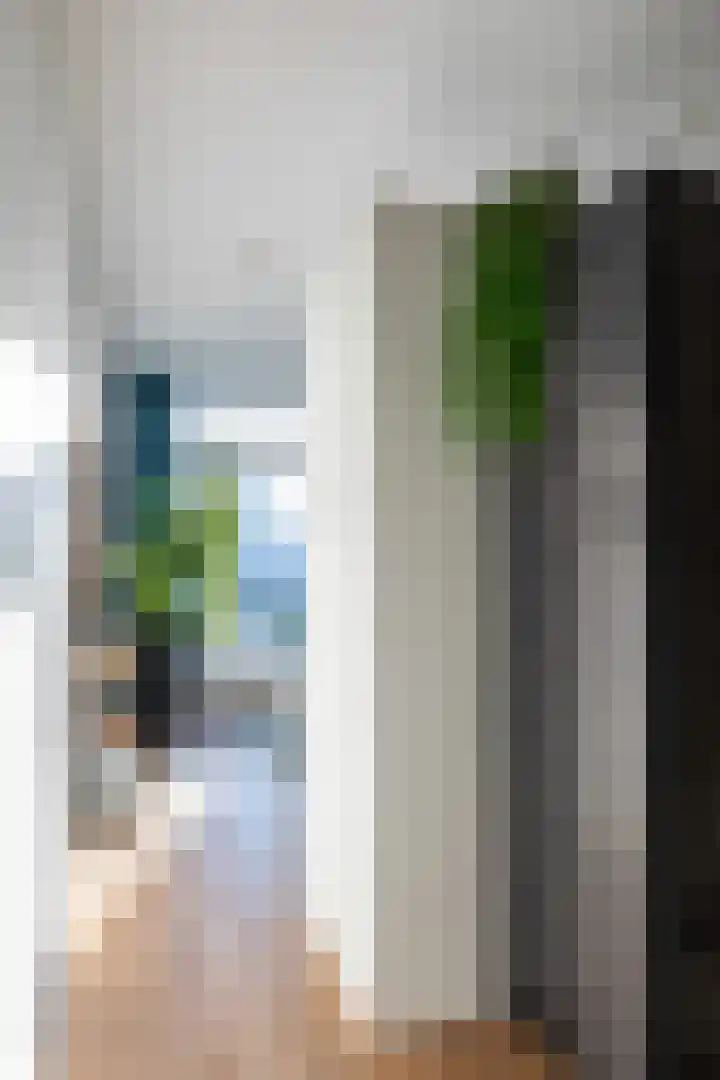 Nicolaas Beetsstraat 35 Eindhoven thumbnail 29