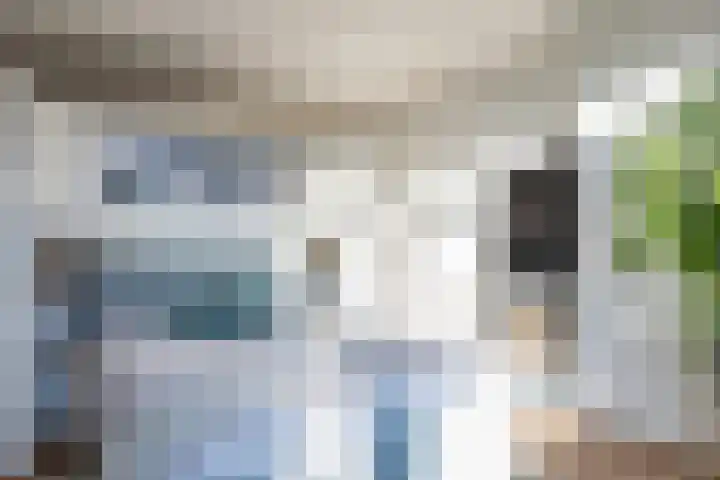 Nicolaas Beetsstraat 35 Eindhoven thumbnail 30