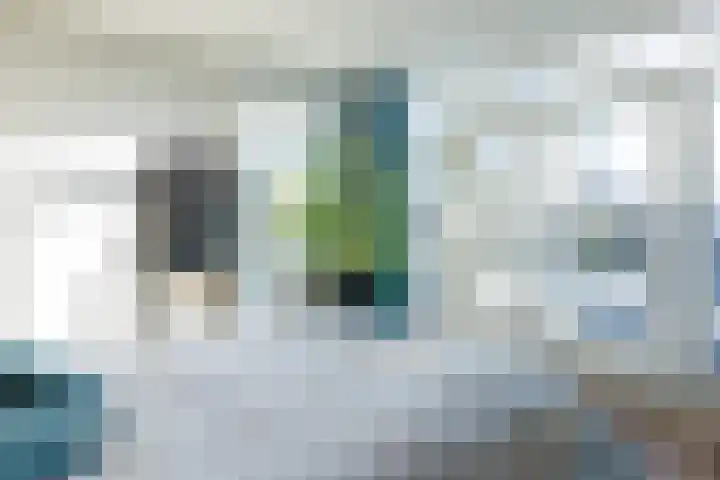 Nicolaas Beetsstraat 35 Eindhoven thumbnail 32