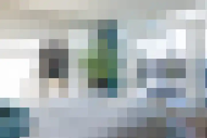 Nicolaas Beetsstraat 35 Eindhoven thumbnail 33
