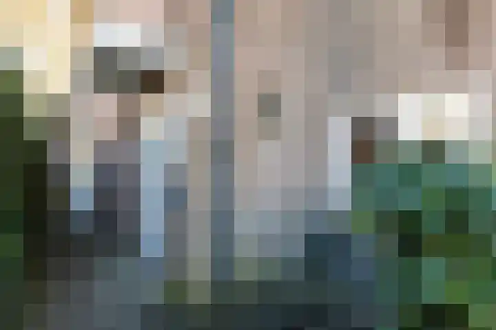 Nicolaas Beetsstraat 35 Eindhoven thumbnail 4